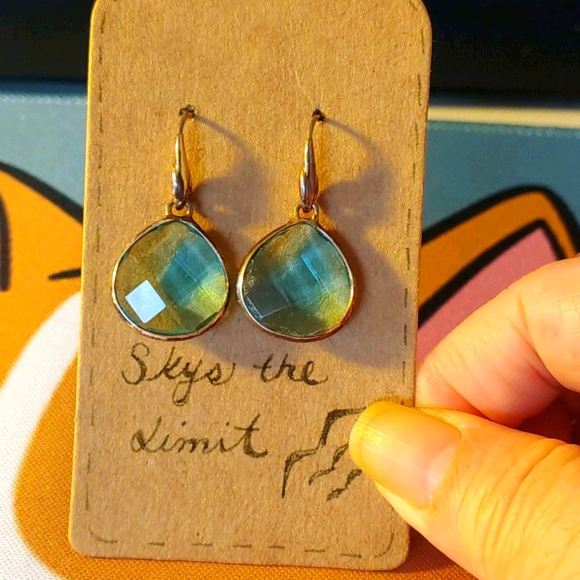 Jewelry - Stella & Dot Earrings